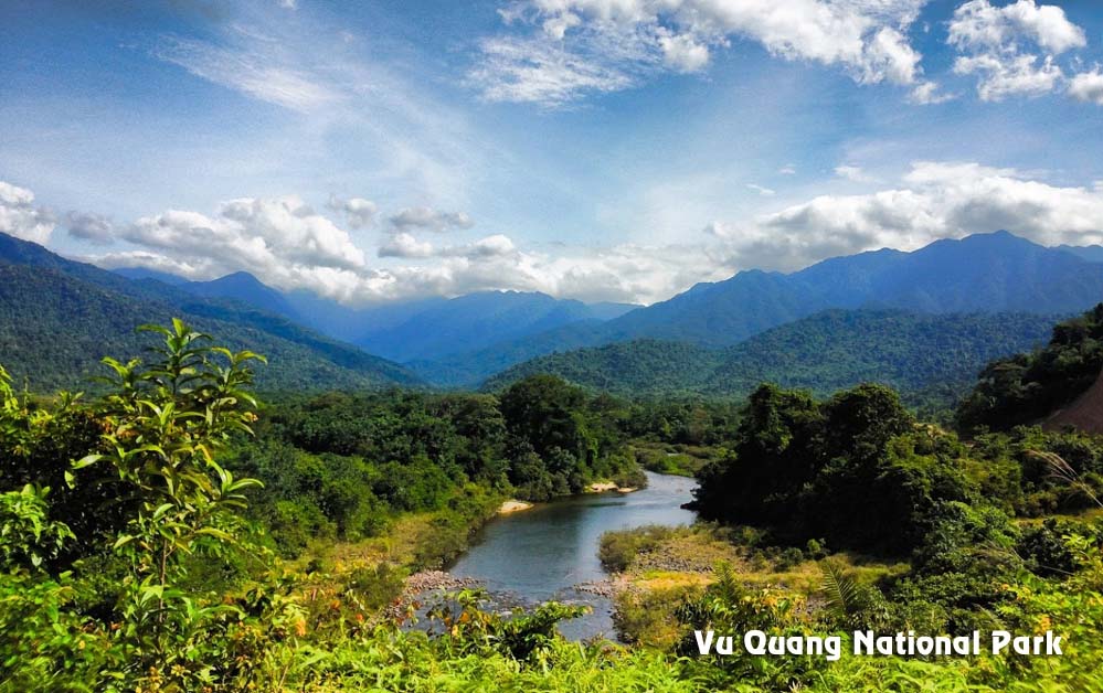 Vu Quang National Park to become an ecological destination Vu Quang National Park to become an ecological destination